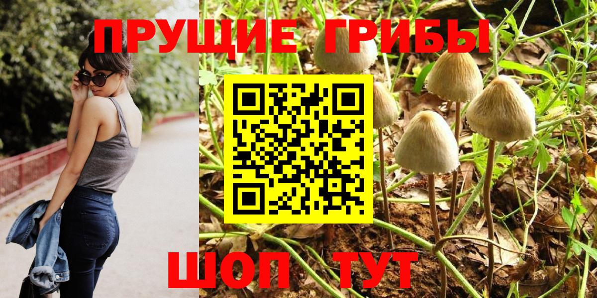 Псилоцибиновые грибы MAGIC MUSHROOMS  Псилоцибиновые грибы Magic Shrooms  Вход с VPN  Нальчик 