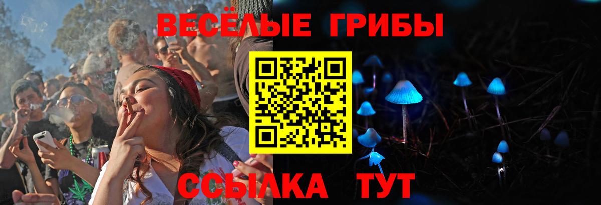 Галлюциногенные грибы ЛСД Нальчик